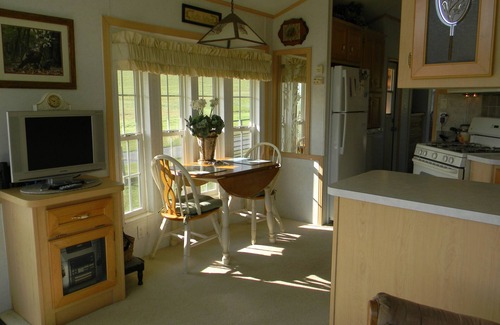 Aurora Cabin | Private Cabin On 40+ Acres. Pets Allowed