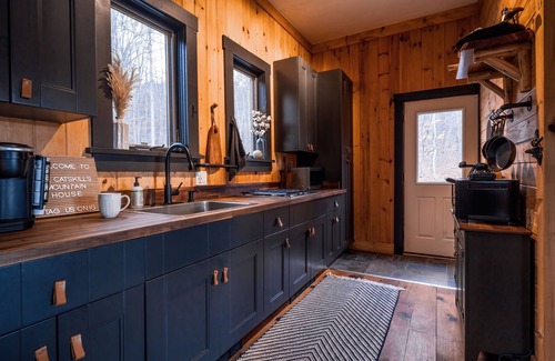 Prattsville Cabin | Private Catskill Getaway | HotTub w/Mountain Views