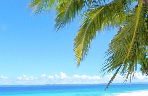Olango Island Villa | PRIVATE COLLECTION 贅沢 Jade's Beach Villa 별장 Cebu-Olango Island.