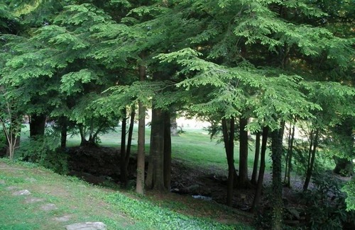 Pineville House | Private Getaway Connected to State Park and Golf Course!