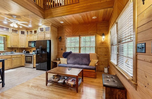 Wise Cabin | Private lakefront hideaway with dock, swing bench, remote work desk, & AC