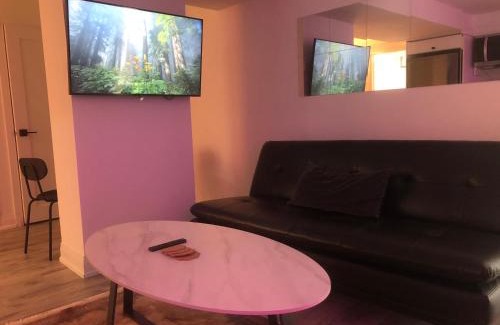 Aurora House | Private modern basement