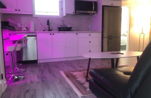 Aurora House | Private modern basement