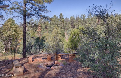 Clay Springs Cottage | Private Mountain Get-A-Way in the Pines