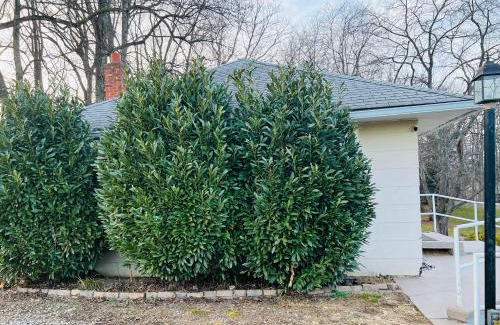Fairfax House | Private & Quiet Guest House I 15 Min from DC