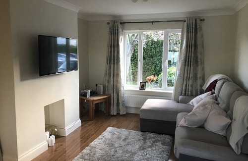 Dublin Resort | Private room ∙ 1 guest