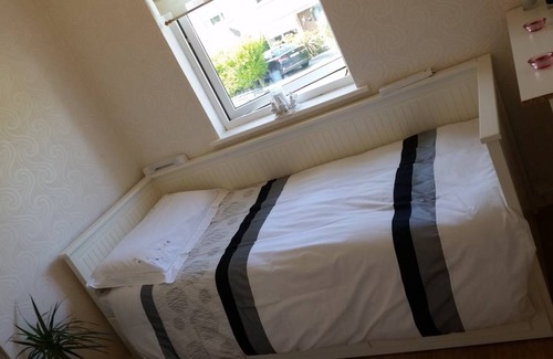 Swords Resort | Private room ∙ 1 guest