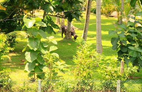 Andiambalama Resort | Private room ∙ 2 guests