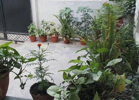 Thamel Resort | Private room ∙ 3 guests
