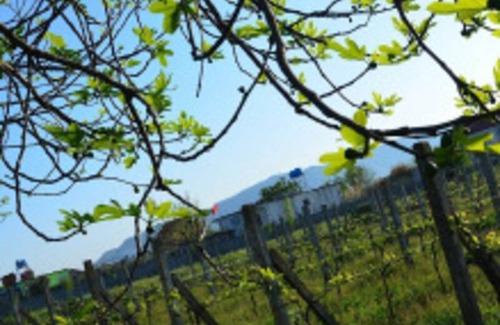 Shkoder Resort | Private room ∙ 3 guests
