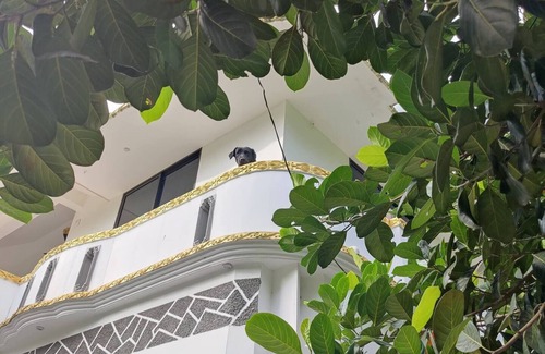 Neyyattinkara Apartment | Private studio at Casa Di Dominicin