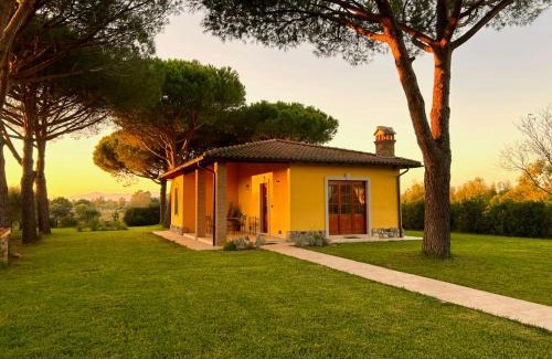 Grosseto House | Private Villa Among Pine Trees And Lavender