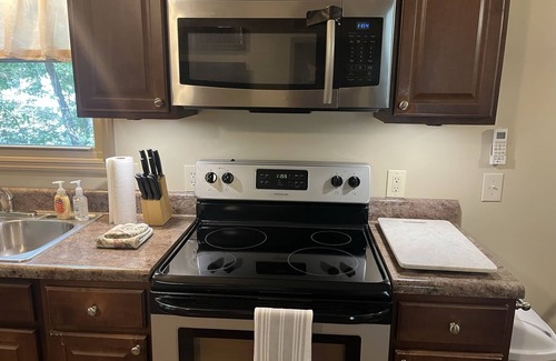 Central Apartment | Private Wooded Cottage 2 Bed/1 Bath