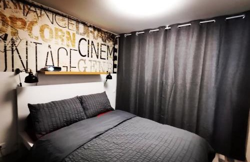 Saint-Pierre - Rene II - Bonsecours Apartment | Proche de Nancy centre, appart cinéma rénové avec parking gratuit