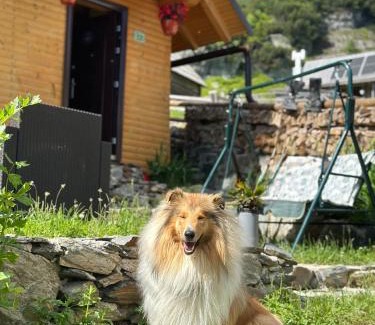 Sumece Apartment | Prokoško jezero Zlatna koliba