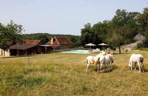 Tourtoirac House | Property ENTIEREMENT PRIVATIVE on 4 hectares ! Heated pool-great luxury