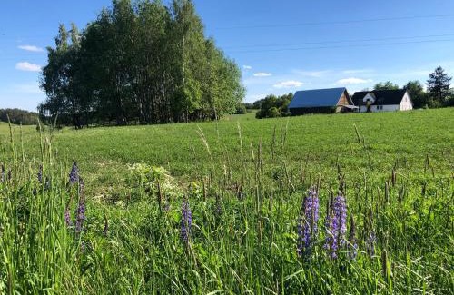 Czaplinek Villa | Prosinko 25