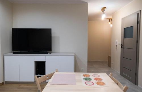 Sosnowiec Apartment | Przestronny apartament w Sosnowcu, miejsce parkingowe w hali garażowej