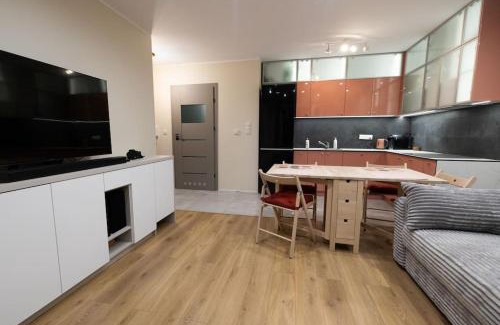 Sosnowiec Apartment | Przestronny apartament w Sosnowcu, miejsce parkingowe w hali garażowej