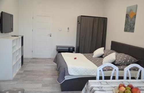 Tarnowskie Gory Apartment | Przy Rynku Black and White