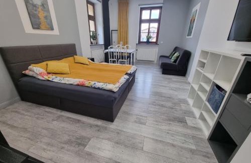 Tarnowskie Gory Apartment | Przy Rynku Black and White