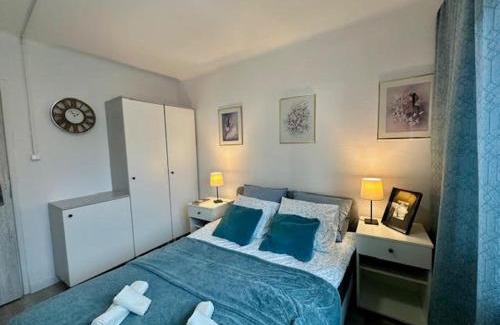 Sosnowiec Apartment | Przy Stawikach