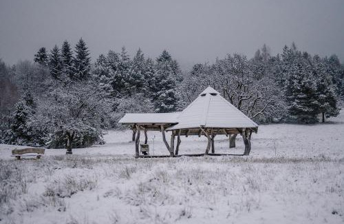 Ustrzyki Dolne House | Przystanek Ropienka Leśniczówka