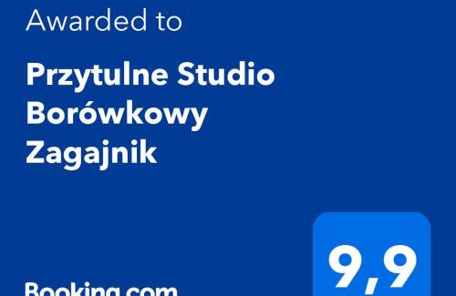 Piechowice Apartment | Przytulne Studio Borówkowy Zagajnik