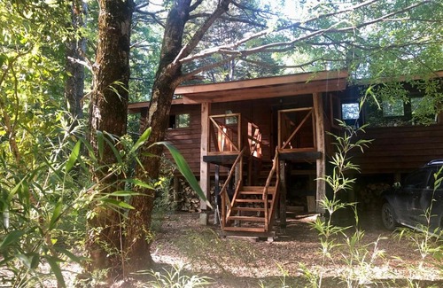 Palguin Alto House | Pucón-Casa Manke-Palguin Alto - Bosque y Río