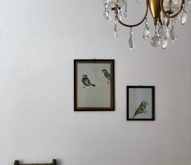 Bisceglie Apartment | PugliAmore