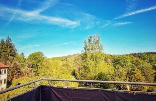 Berggieshubel Apartment | Pure idyll: Quiet vacation apartment with large sun terrace by the forest