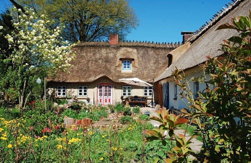Schnarup-Thumby Apartment | Pure idyll in a secluded location under the thatch at the edge of the forest
