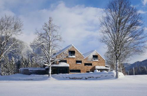 Erpfendorf Apartment | pure mountain BASE