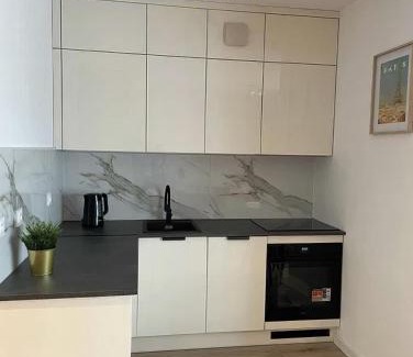 Vilnius city municipality Apartment | Pylimėlių 38 Flat