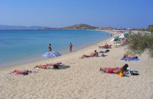 Agios Prokopios Apartment | Pyrgos Beach