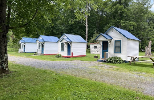 Westford Cottage | Quaint Cabin #8 - Pymatuning Lake