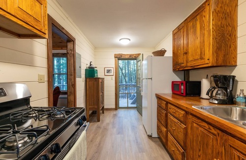 Pittsfield Cabin | Quaint cottage on peaceful NH lake! Enjoy swimming, kayaking, and trails.