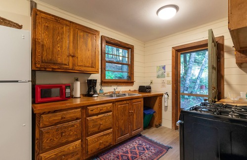 Pittsfield Cabin | Quaint cottage on peaceful NH lake! Enjoy swimming, kayaking, and trails.