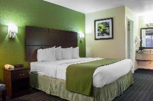 Parker Hotel | Quality Inn Parker