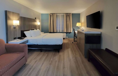 Port Orchard Hotel | Quality Inn Port Orchard