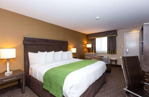 Matane Hotel | Quality Inn & Suites