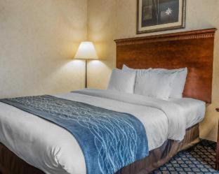 Coldwater Hotel | Quality Inn & Suites Coldwater near I-69