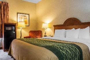 Mansfield Hotel | Quality Inn & Suites