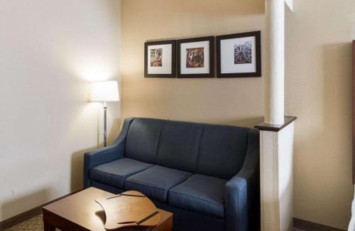 Midland Hotel | Quality Suites Midland North Loop 250