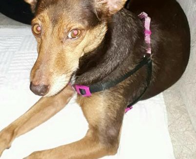 Santo Amaro House | Quarto Individual ou Duplo ao lado da Ponte Transamerica