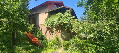Lasinja House | Queen bee's nest