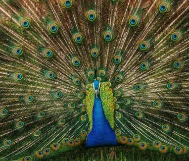 Demir Kapija Hotel | QUEEN MARIA Apartments