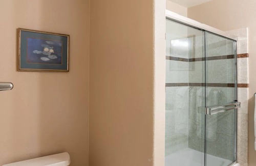 San Tomas Apartment | "Queens Palace" Studio Apt Business Ready - San Jose