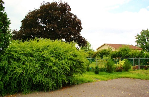 Gettysburg Apartment | Quiet 1-Bedroom Suite in the Country, 2 Mi. from Gettysburg Square.