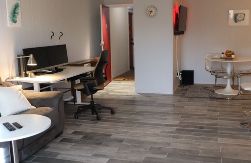 Washington Ave./ Memorial Park Condo | Quiet, airy, spacious renovated condo on 2nd floor. Workstation, adjustable bed.